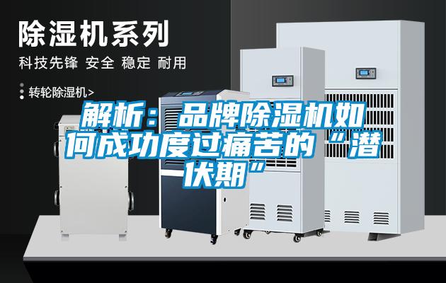 解析：品牌香蕉视频国产APP下载机如何成功度过痛苦的“潜伏期”