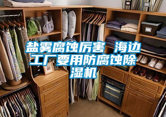 盐雾腐蚀厉害 海边工厂要用防腐蚀香蕉视频国产APP下载机