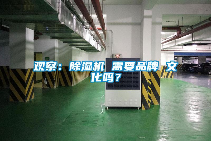 观察：香蕉视频国产APP下载机 需要品牌 文化吗？