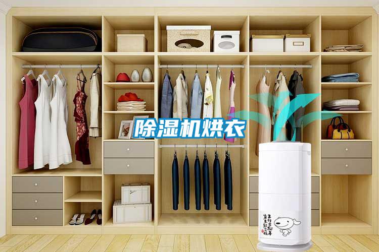 香蕉视频国产APP下载机烘衣