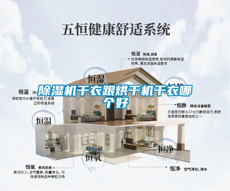 香蕉视频国产APP下载机干衣跟烘干机干衣哪个好