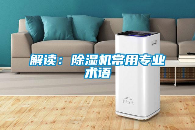 解读：香蕉视频国产APP下载机常用专业术语