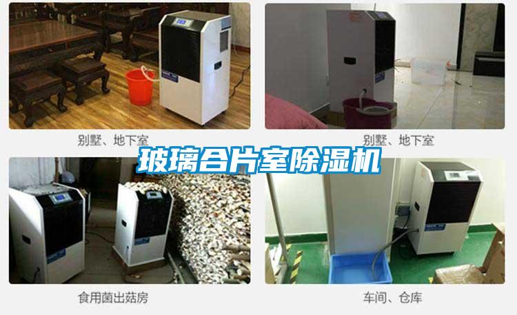 玻璃合片室香蕉视频国产APP下载机