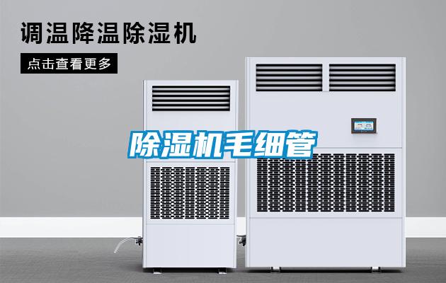 香蕉视频国产APP下载机毛细管