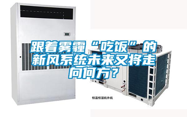 跟着雾霾“吃饭”的新风系统未来又将走向何方？