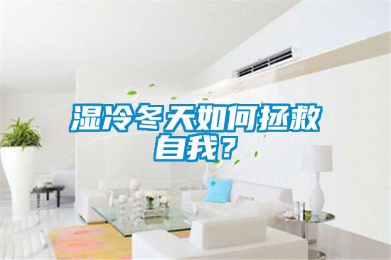 湿冷冬天如何拯救自我？