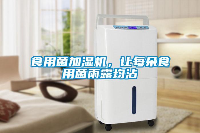 食用菌加湿机，让每朵食用菌雨露均沾