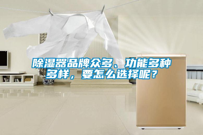 香蕉视频国产APP下载器品牌众多、功能多种多样，要怎么选择呢？