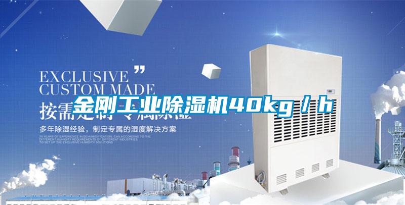 金刚工业香蕉视频国产APP下载机40kg／h