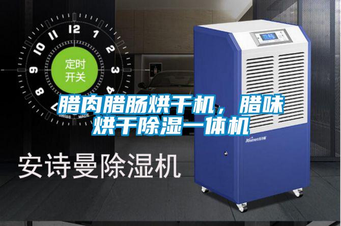 腊肉腊肠烘干机，腊味烘干香蕉视频国产APP下载一体机
