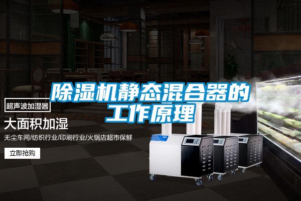 香蕉视频国产APP下载机静态混合器的工作原理