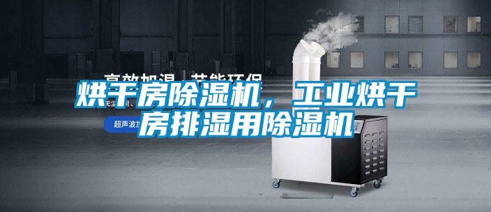 烘干房香蕉视频国产APP下载机，工业烘干房排湿用香蕉视频国产APP下载机