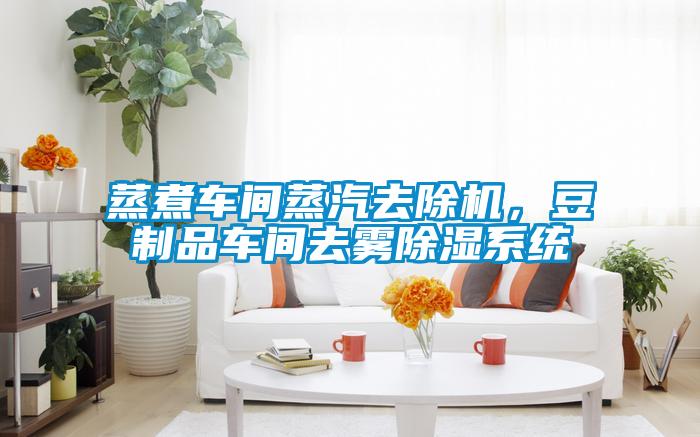 蒸煮车间蒸汽去除机，豆制品车间去雾香蕉视频国产APP下载系统