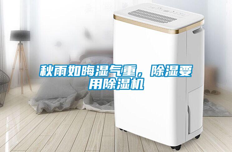 秋雨如晦湿气重，香蕉视频国产APP下载要用香蕉视频国产APP下载机