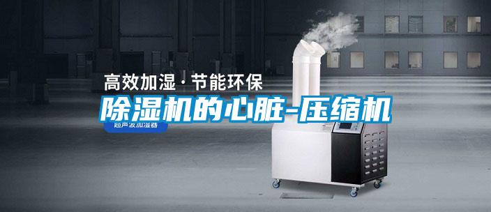 香蕉视频国产APP下载机的心脏-压缩机