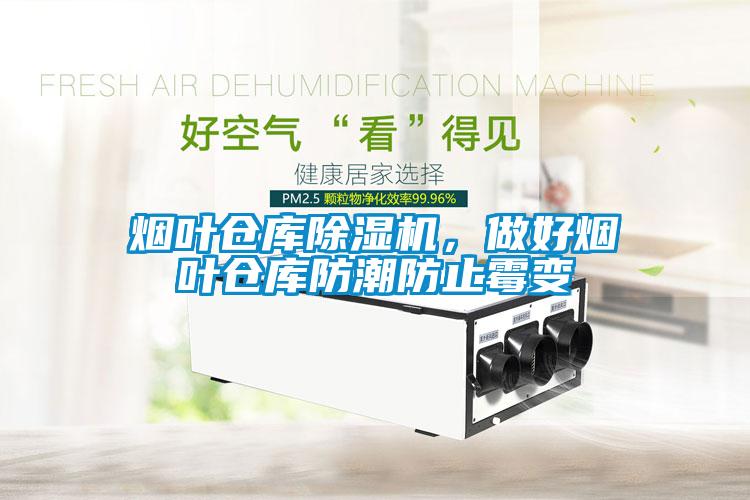 烟叶仓库香蕉视频国产APP下载机，做好烟叶仓库防潮防止霉变
