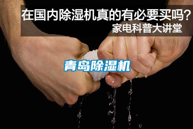青岛香蕉视频国产APP下载机