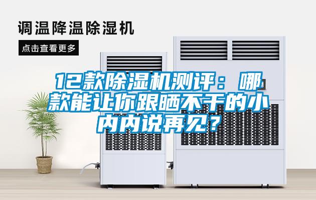 12款香蕉视频国产APP下载机测评：哪款能让你跟晒不干的小内内说再见？