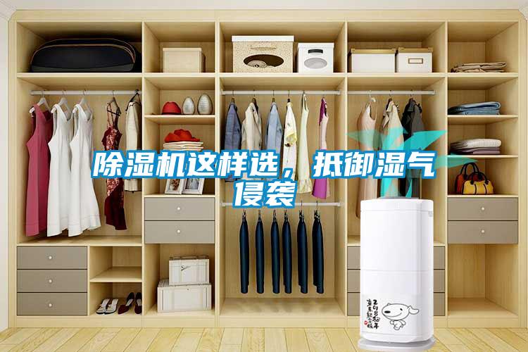 香蕉视频国产APP下载机这样选，抵御湿气侵袭