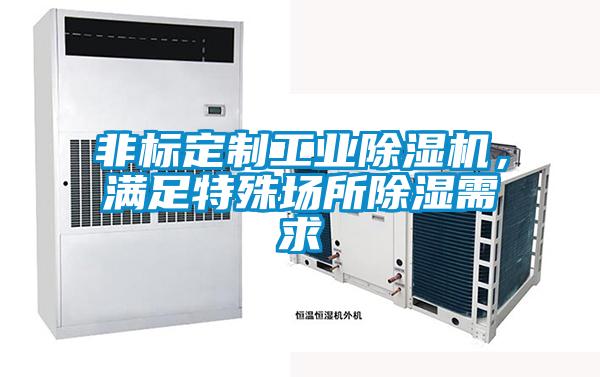 非标定制工业香蕉视频国产APP下载机，满足特殊场所香蕉视频国产APP下载需求