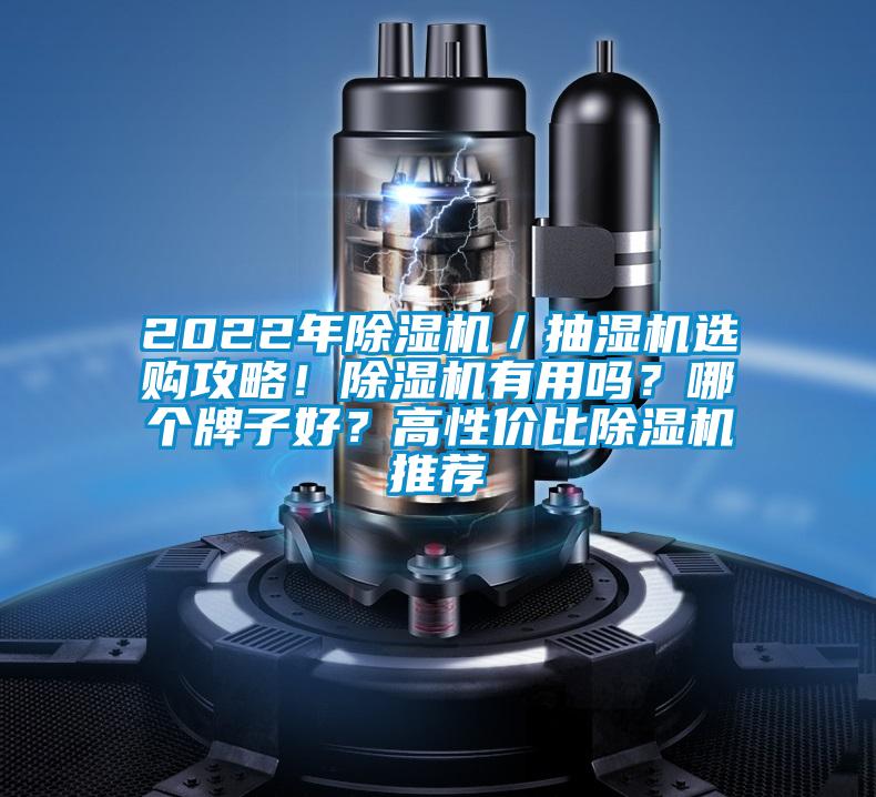 2022年香蕉视频国产APP下载机／抽湿机选购攻略！香蕉视频国产APP下载机有用吗？哪个牌子好？高性价比香蕉视频国产APP下载机推荐