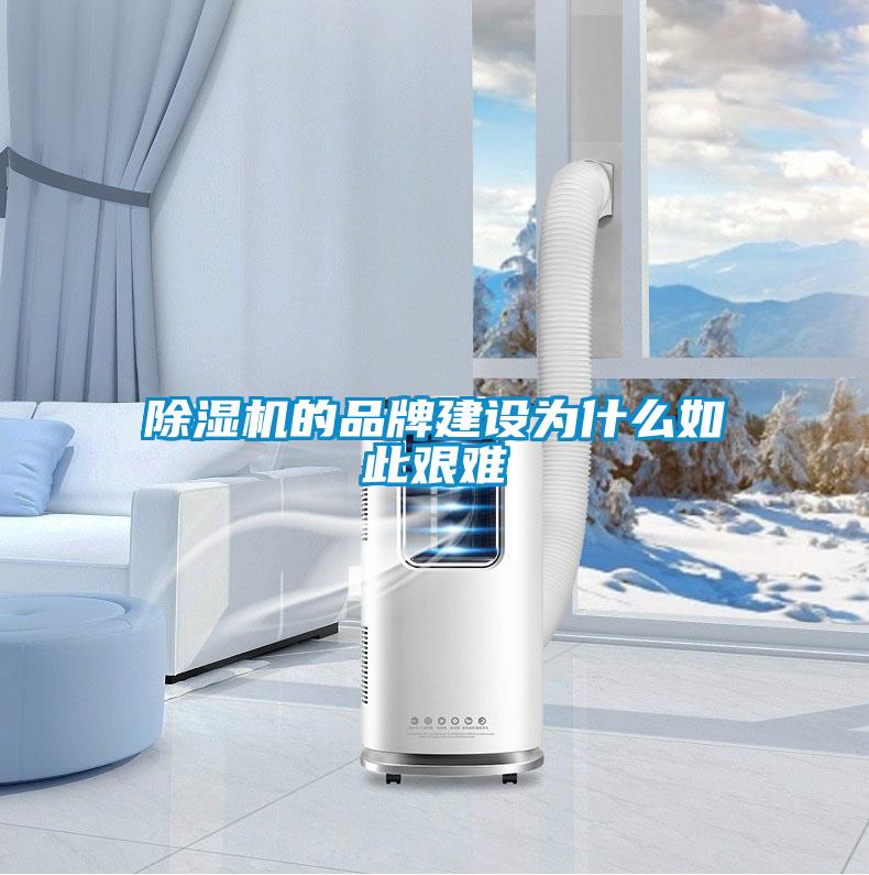 香蕉视频国产APP下载机的品牌建设为什么如此艰难