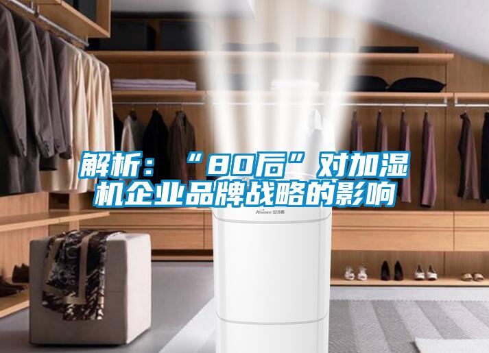 解析：“80后”对加湿机企业品牌战略的影响