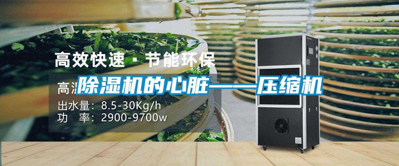 香蕉视频国产APP下载机的心脏——压缩机