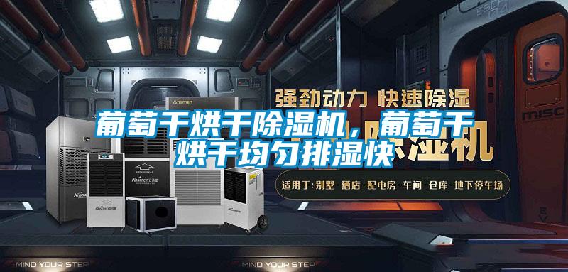 葡萄干烘干香蕉视频国产APP下载机，葡萄干烘干均匀排湿快