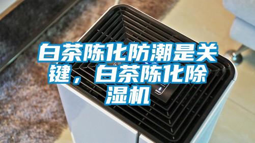 白茶陈化防潮是关键，白茶陈化香蕉视频国产APP下载机