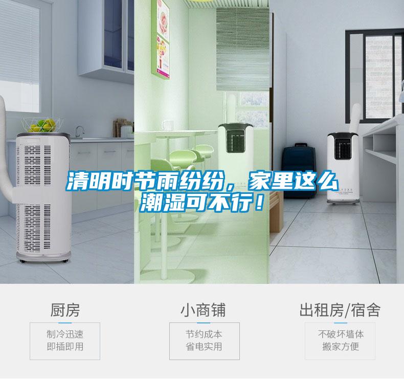 清明时节雨纷纷，家里这么潮湿可不行！