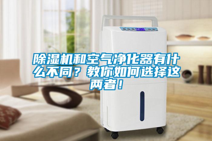 香蕉视频国产APP下载机和空气净化器有什么不同？教你如何选择这两者！
