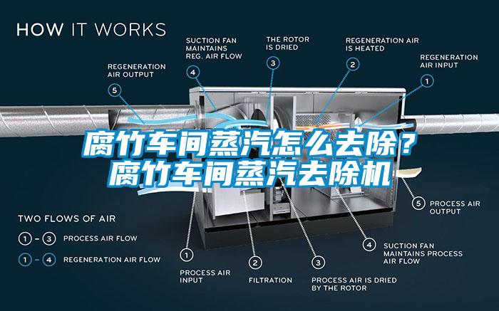 腐竹车间蒸汽怎么去除？腐竹车间蒸汽去除机