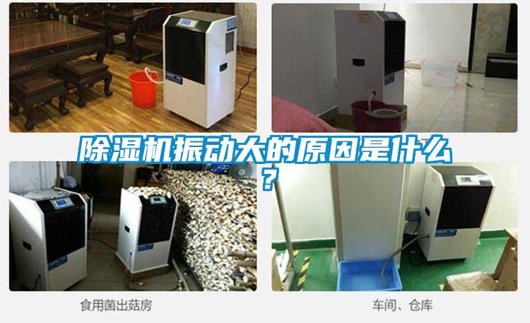 香蕉视频国产APP下载机振动大的原因是什么？