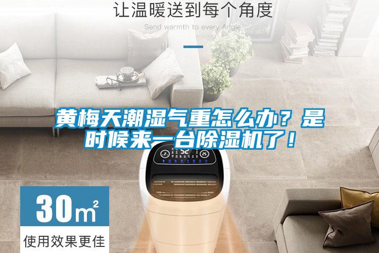 黄梅天潮湿气重怎么办？是时候来一台香蕉视频国产APP下载机了！