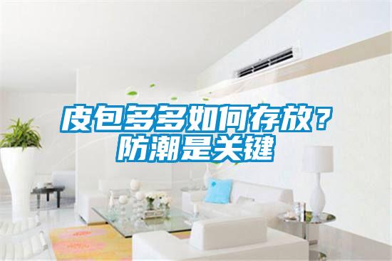皮包多多如何存放？防潮是关键
