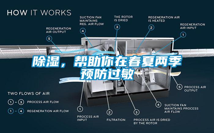 香蕉视频国产APP下载，帮助你在春夏两季预防过敏