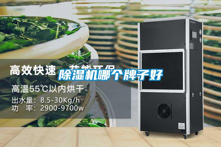 香蕉视频国产APP下载机哪个牌子好