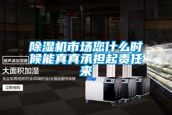 香蕉视频国产APP下载机市场您什么时候能真真承担起责任来