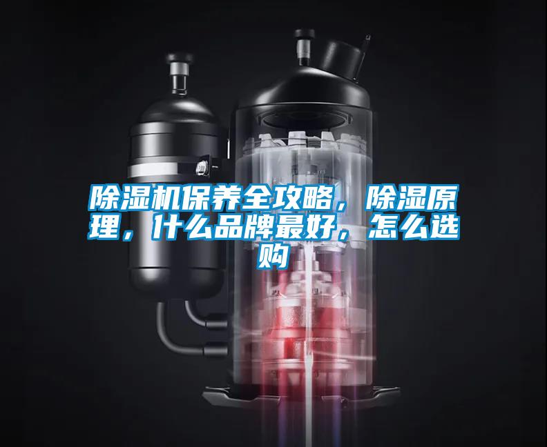 香蕉视频国产APP下载机保养全攻略，香蕉视频国产APP下载原理，什么品牌最好，怎么选购