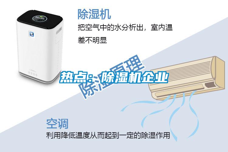 热点：香蕉视频国产APP下载机企业