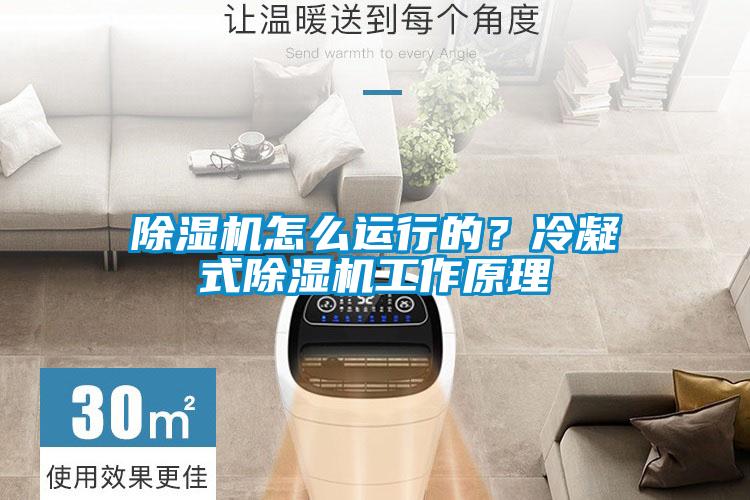 香蕉视频国产APP下载机怎么运行的？冷凝式香蕉视频国产APP下载机工作原理
