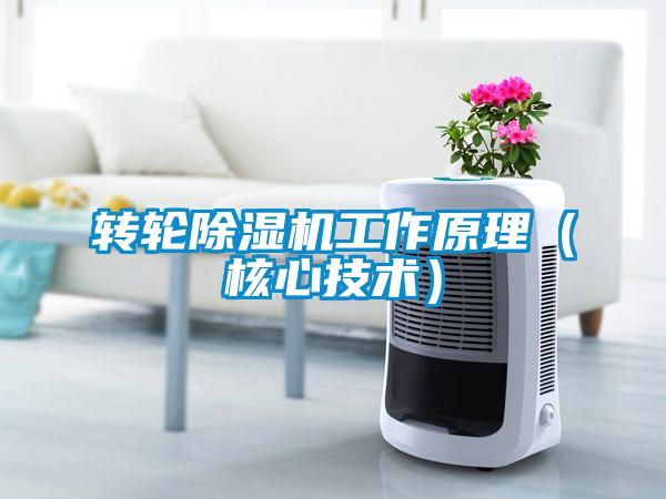 转轮香蕉视频国产APP下载机工作原理（核心技术）