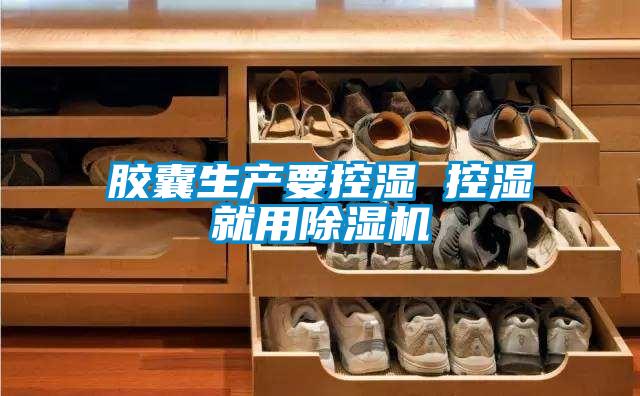 胶囊生产要控湿 控湿就用香蕉视频国产APP下载机