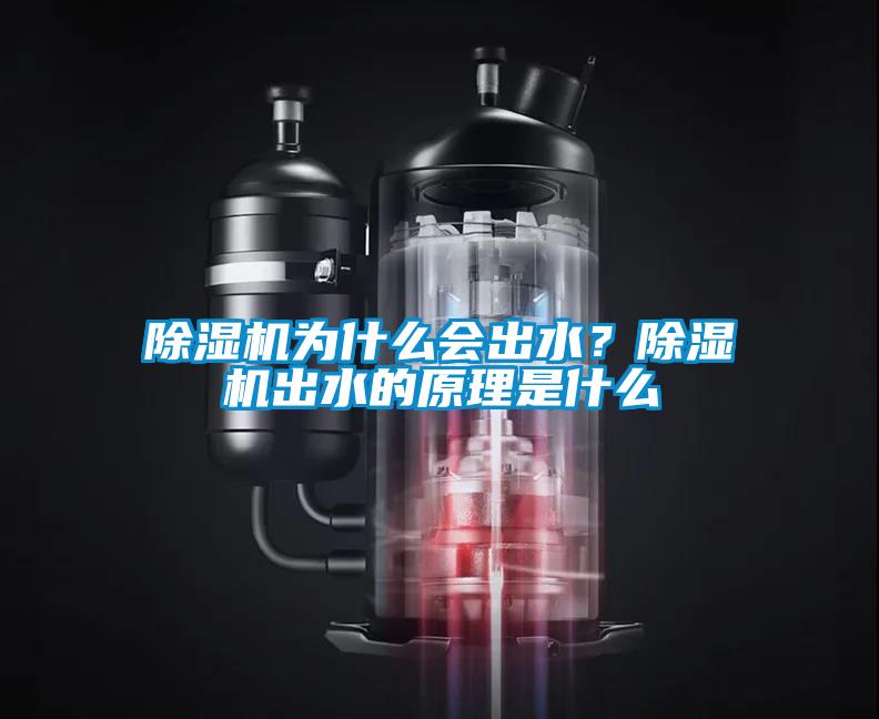 香蕉视频国产APP下载机为什么会出水？香蕉视频国产APP下载机出水的原理是什么