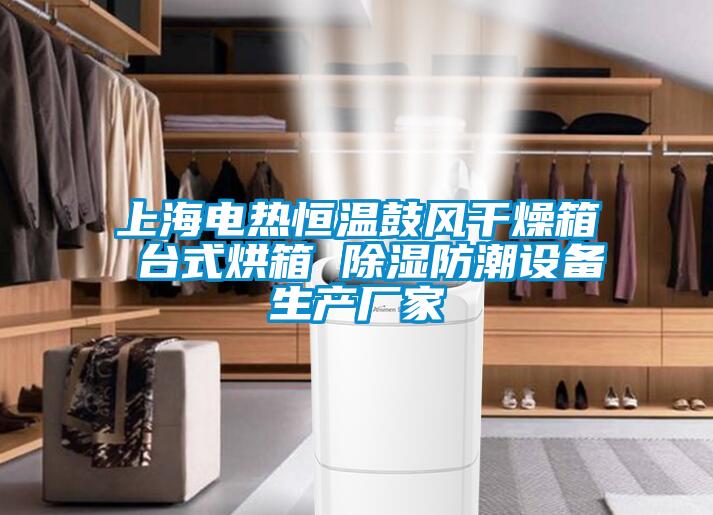 上海电热恒温鼓风干燥箱 台式烘箱 香蕉视频国产APP下载防潮设备生产厂家