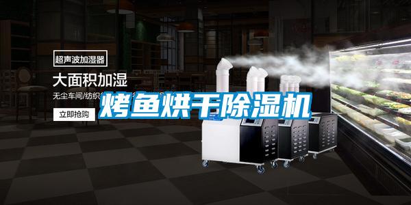 烤鱼烘干香蕉视频国产APP下载机