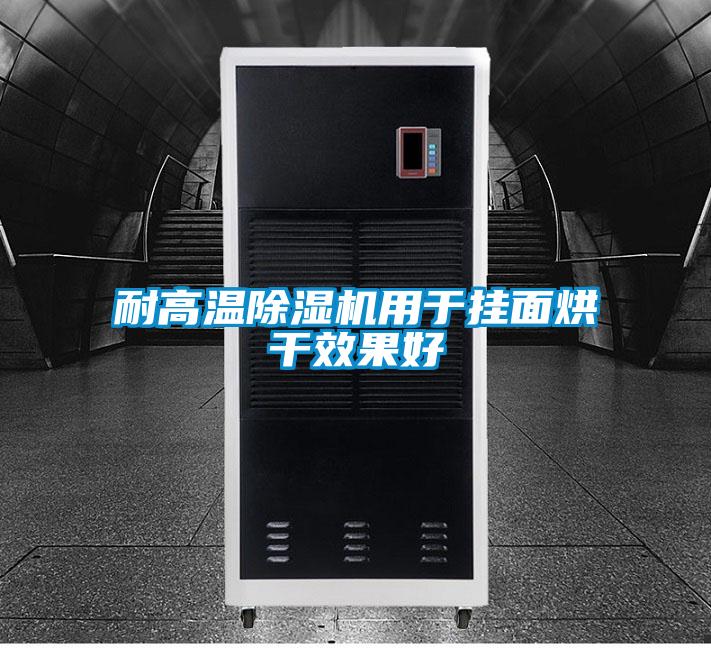 耐高温香蕉视频国产APP下载机用于挂面烘干效果好
