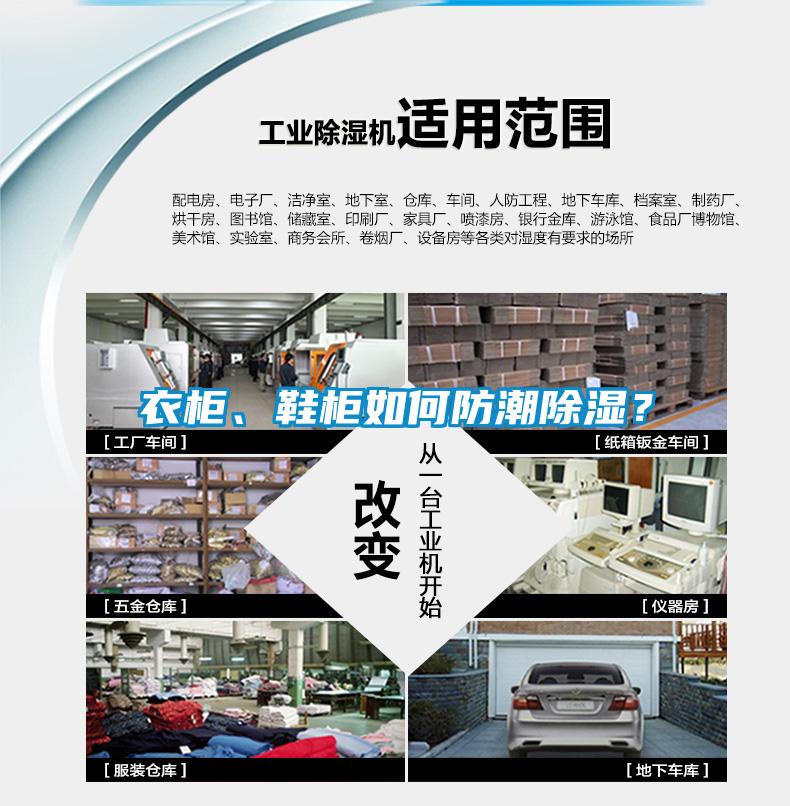 衣柜、鞋柜如何防潮香蕉视频国产APP下载？