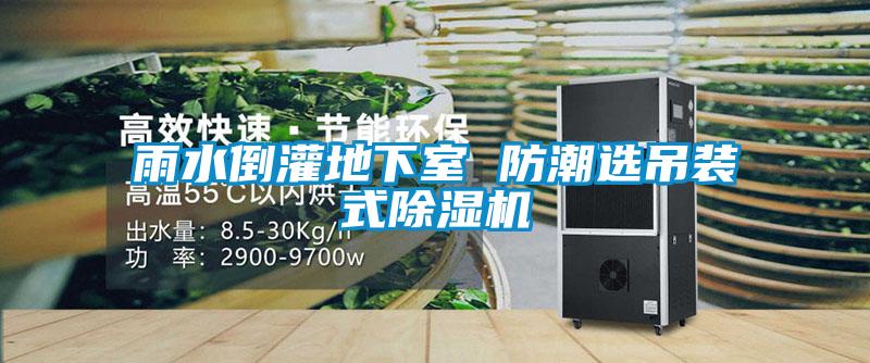 雨水倒灌地下室 防潮选吊装式香蕉视频国产APP下载机